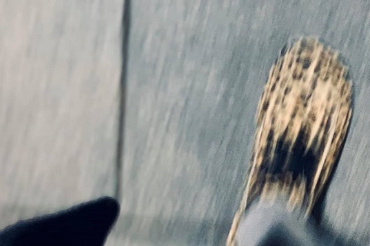 GEDANKEN(SPAZIER)GANG