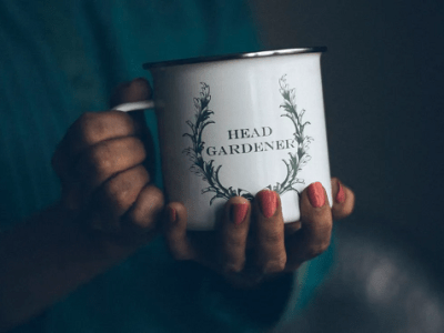 ALLES – ODER WENN NICHTS ALLES&nbsp;IST