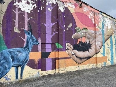 WILLKOMMEN IN DER GRENZENLOSIGKEIT