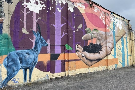 WILLKOMMEN IN DER GRENZENLOSIGKEIT