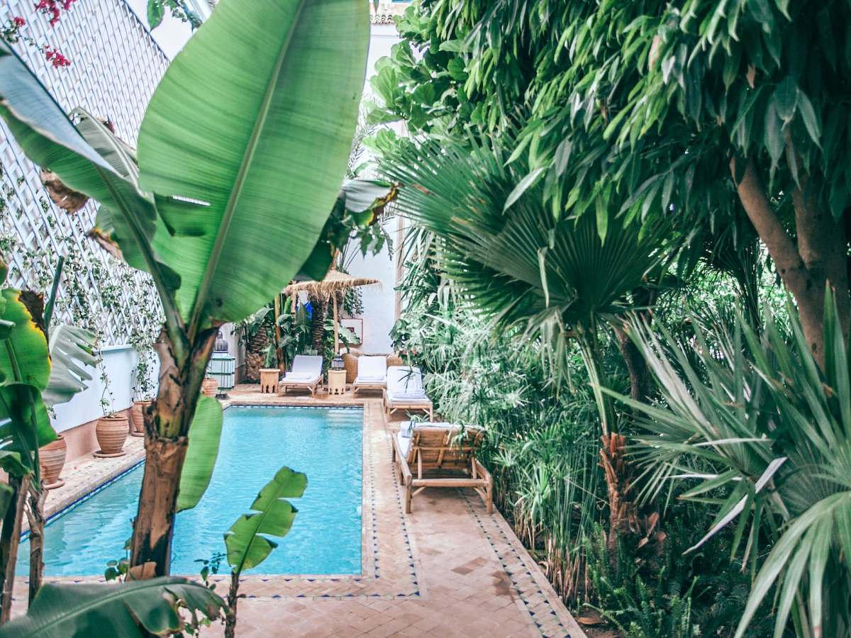 896 SHADES OF&nbsp;SCHÖN